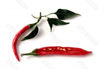 Red Hot Chili Peppers Red Hot Chili Peppers