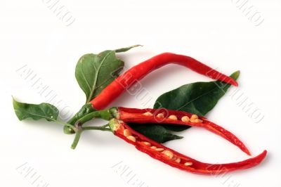 Red Hot Chili Peppers Red Hot Chili Peppers