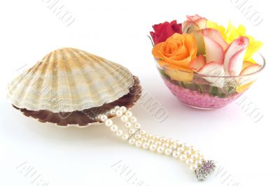 Bracelet from a shell