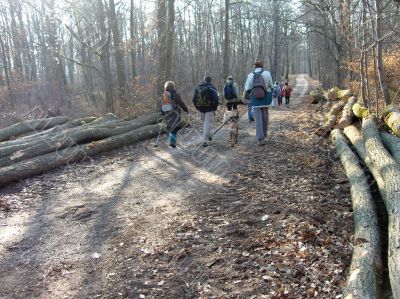 Hikers