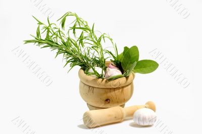 Culinary Herbs