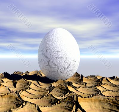 One egg One egg