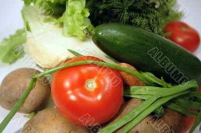 Fresh vegetables