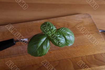 basil