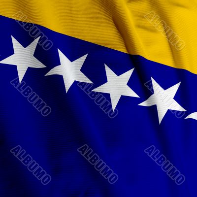 Bosnian Flag Closeup