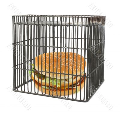 diet concept - fast food behind bars