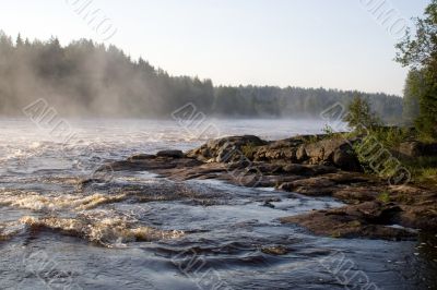 foggy morning