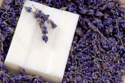 Soap with Lavender