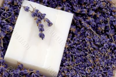 Soap with Lavender Soap with Lavender