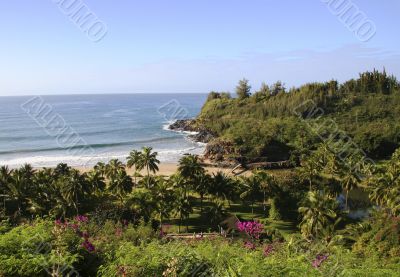 Tropical seaside garden