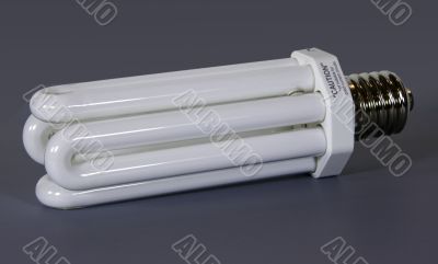 Single Fluorescent Lamp