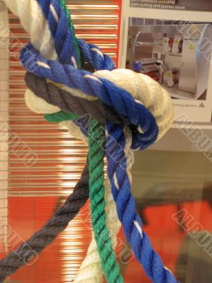 United colours knot United colours knot