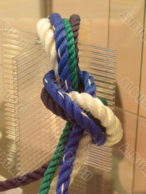 United colours knot