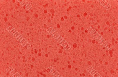 Sponge Texture