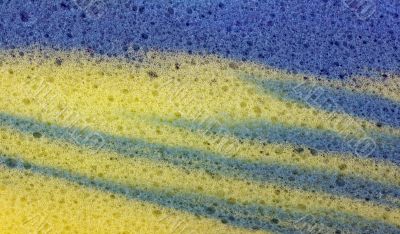 Colorful Sponge