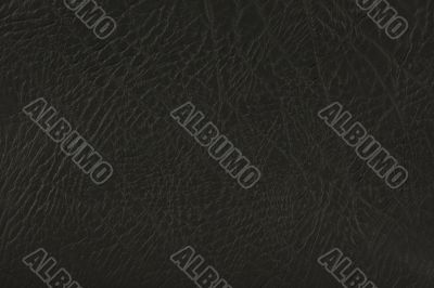Black Leather