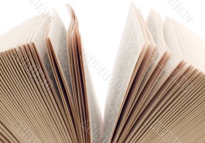 Open book close up