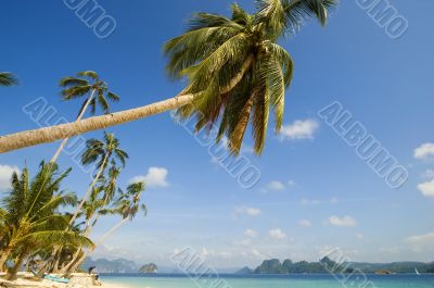 Resort Resort