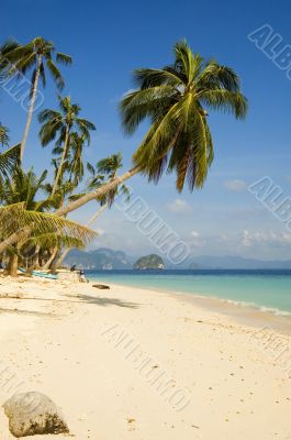 Resort Resort