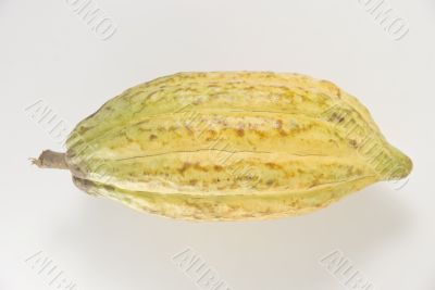 Cacao Fruit