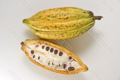 Cacao Fruit