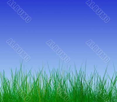 Clear sky in springtime Clear sky in springtime