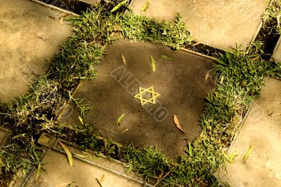 Star of David Star of David