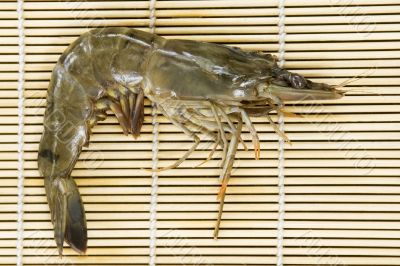 Fresh Shrimp Fresh Shrimp