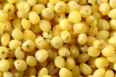 millet macro millet macro