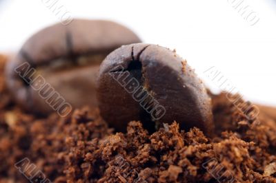 two coffee grains two coffee grains