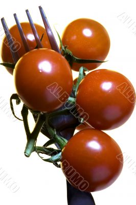 Tomato with goods Isolated