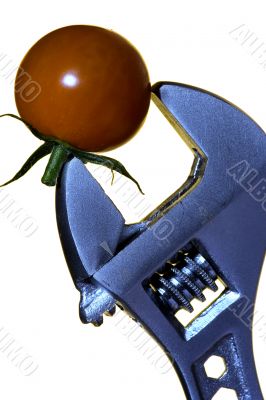 Tomato with goods Isolated