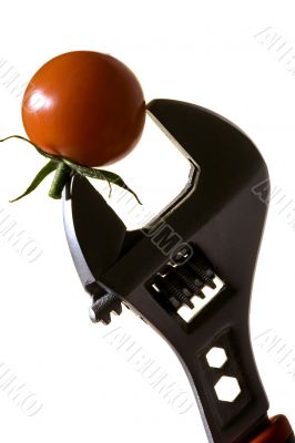 Tomato with goods Isolated