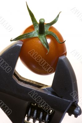 Tomato with goods Isolated