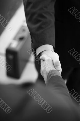 Professionals shaking hands Professionals shaking hands