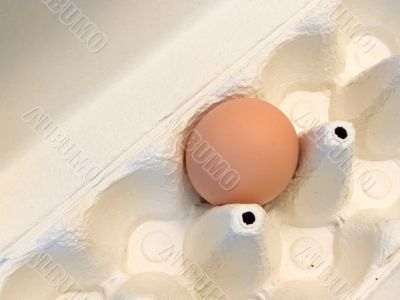 Single egg