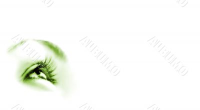 Women`s eye - looking forward.Isolated on white.