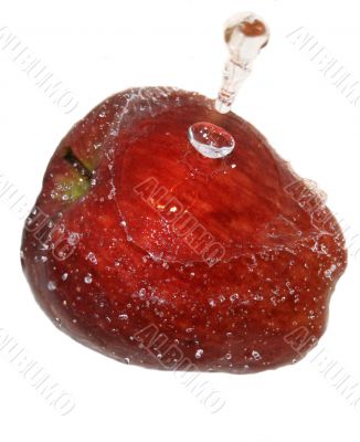 Big tasty it is dark - a red apple.