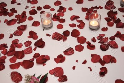 rose petal with two candles