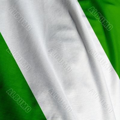 Nigerian Flag Closeup