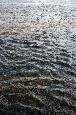 Vertical Water Texture Vertical Water Texture