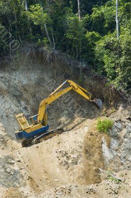 Forest Destruction