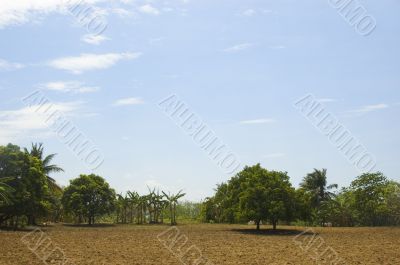 Newly tilled soil Newly tilled soil