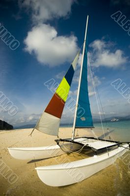 Hobie Cat Hobie Cat
