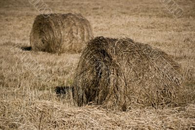 two hayricks on the country two hayricks on the country