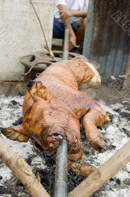 Roast Pig