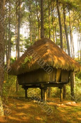 Igorot Hut Igorot Hut