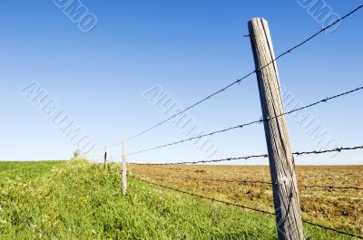 Barbwire fence