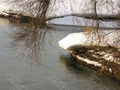 a tree branch over the water