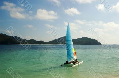 Hobie Cat Hobie Cat